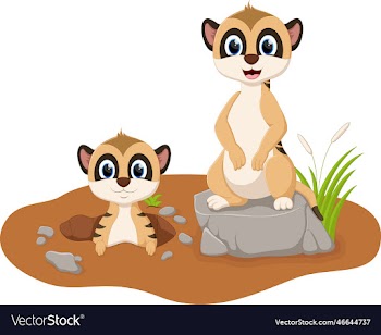 cartoon cute two meerkats on white background