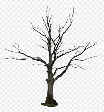 Cartoon Dead Tree - Owl And The Wolf
