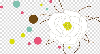 Cartoon Drawing Euclidean , Cartoon White Rose transparent background PNG clipart