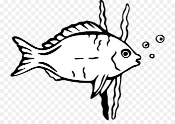 Cartoon Drawing Fish Clip art - Cartoon fish 