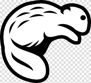 Cartoon Drawing North American beaver , White Beaver transparent background PNG clipart