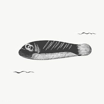 Cartoon drawing of a fish | Free stock vector - 47025