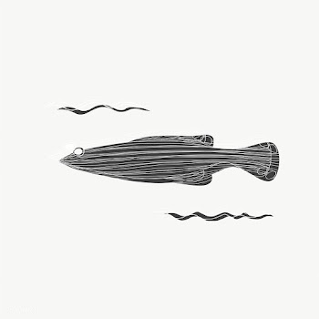Cartoon drawing of a fish | Free stock vector - 47032