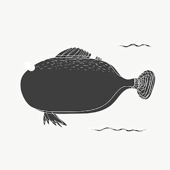 Cartoon drawing of a fish | Free stock vector - 47069