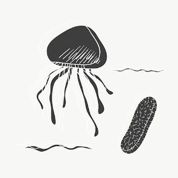 Cartoon drawing of a jellyfish and a sponge | Free stock vector - 47017