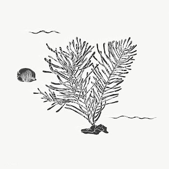 Cartoon drawing of sea plant and fish | Free stock vector - 47040