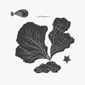 Cartoon drawing of sea plant and fish | Free stock vector - 47065