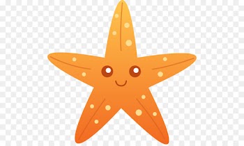 Cartoon Drawing Starfish Clip art - sea star 