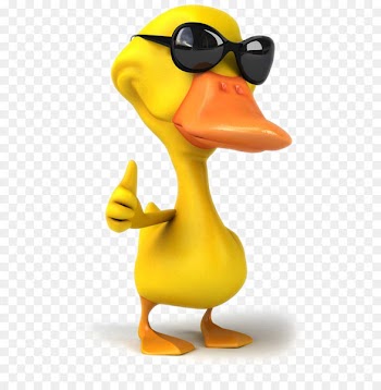 Cartoon duck pictures 