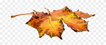 Cartoon Fall Leaf 12, - Alma Garden Gartenlaubsack 120 Liter