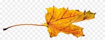 Cartoon Fall Leaf 23, - Leaf