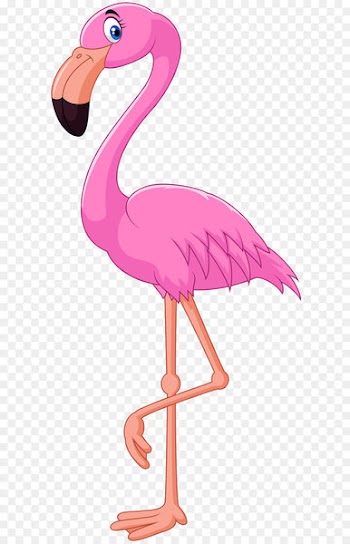 Cartoon Flamingo Bird Illustration - Flamingo PNG 