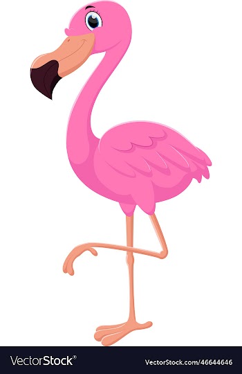 cartoon flamingo isolated on white background
