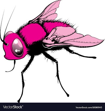  					Cartoon fly vector image														