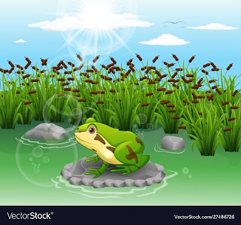 Cartoon frog cute scenery vector image