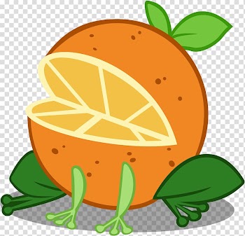 Cartoon Frog Tortoise , discord frog transparent background PNG clipart