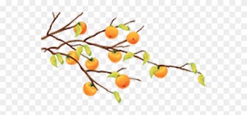 Cartoon Fruit Tree Tangerine - Cartoon Fruit Tree Tangerine
