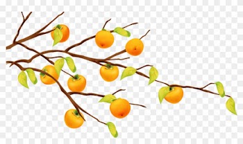 Cartoon Fruit Tree Tangerine - Orange Tree Cartoon
