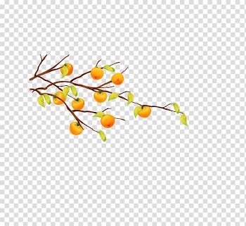 Cartoon Fruit tree Tangerine, persimmon transparent background PNG clipart
