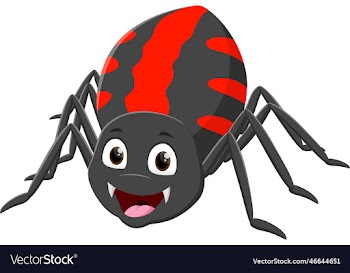 cartoon funny spider isolated on white background