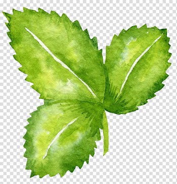 Cartoon Graphic design , Leaves transparent background PNG clipart