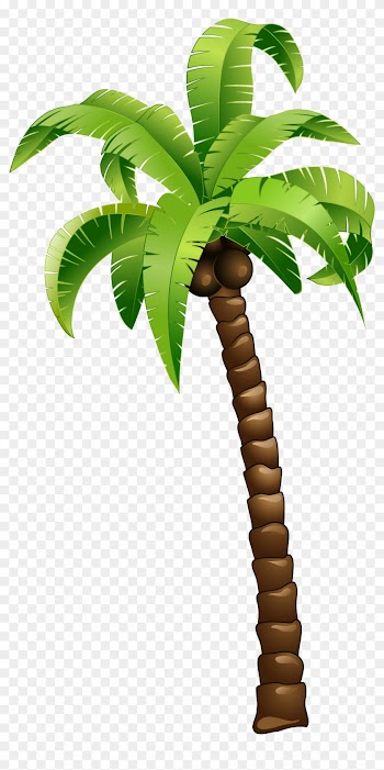 Cartoon Green Coconut Tree - Cartoon Palm Tree Png