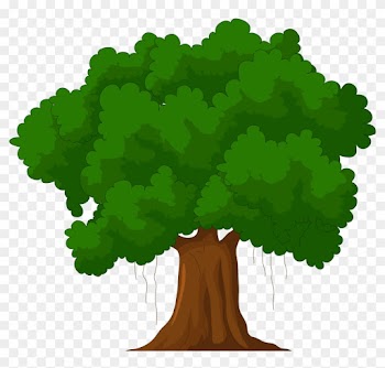 Cartoon Green Tree Png Clipart - Green Tree Cartoon