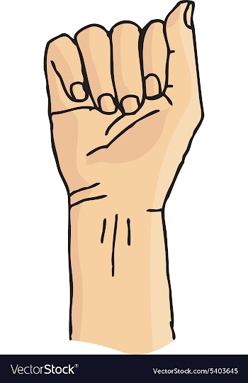 Cartoon hand gesture vector image
