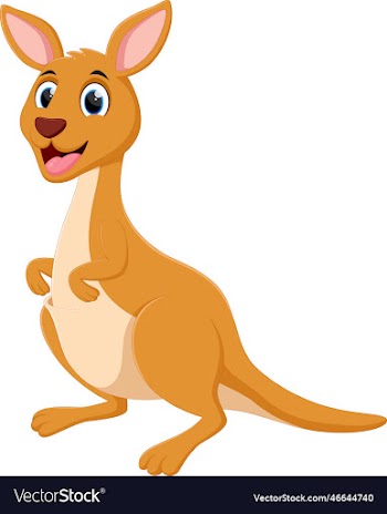 cartoon happy kangaroo isolated on white