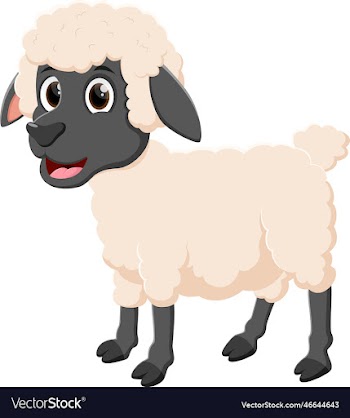 cartoon happy sheep posing isolated on white