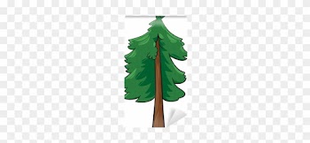 Cartoon Illustration Of Conifer Tree Wall Mural • Pixers® - Cartoon Pine Tree