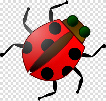 Cartoon insect clipart kid - Clipartix