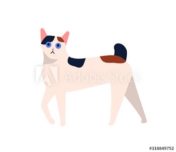 Cartoon japanese bobtail cat breed vector flat illustration