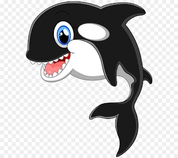 Cartoon Killer whale Clip art - Black Dolphin 
