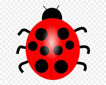 Cartoon Lady Bird Clip Art Library Clipart - Lady Bird Clip Art