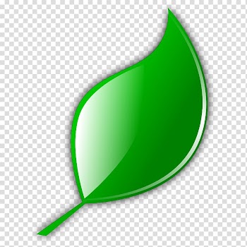 Cartoon Leaf , Green Leaf Icon transparent background PNG clipart