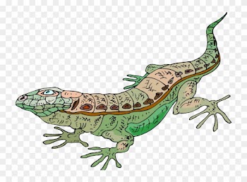 Cartoon Lizard Clipart - Clip Art