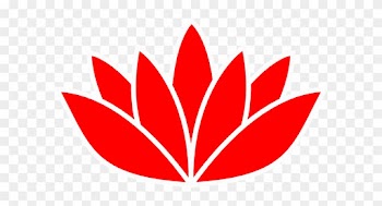 Cartoon Lotus Flower - Lotus Flower