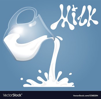 Cartoon milk jug vector image