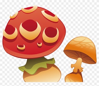 Cartoon Mushroom Illustration - Food