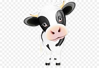 cartoon nose bovine dairy cow snout
