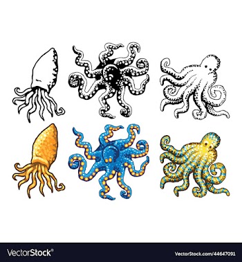 cartoon octopus set