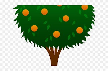 Cartoon Orange Tree - Lemon Tree Clipart