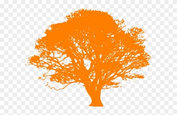 Cartoon Orange Tree - Oak Tree Silhouette Clip Art