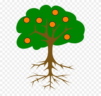 Cartoon Orange Tree - Tree With Roots And Fruits