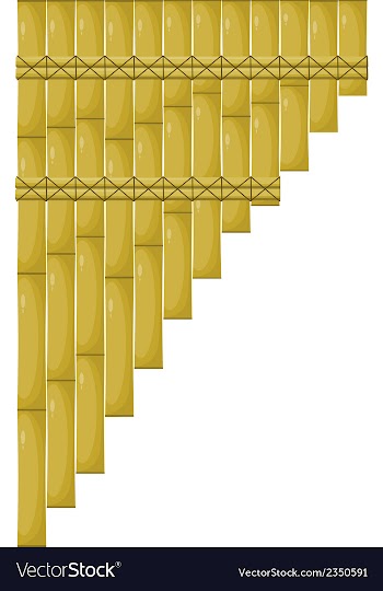 Cartoon pan flute vector image