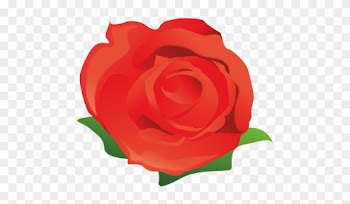 Cartoon Pictures Of Roses Group - Rose Cartoon Png