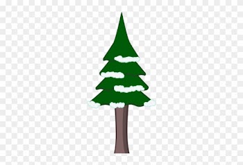Cartoon Pine Trees - Winter Tree Png Cartoon