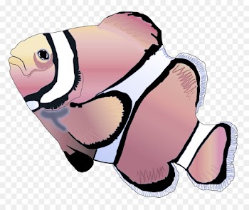 cartoon pink fish anemone fish clip art