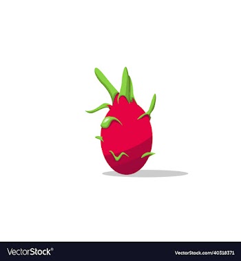 cartoon pitaya fruit